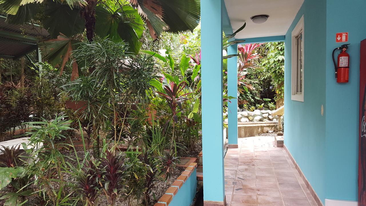 La Posada Jungle Hotel 曼努埃尔安东尼奥 外观 照片